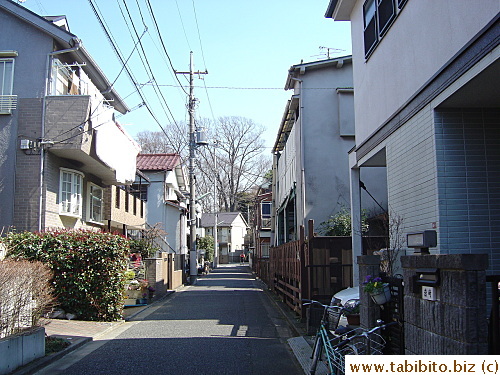 A typical street in a residential area