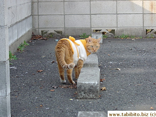 Quit following me!