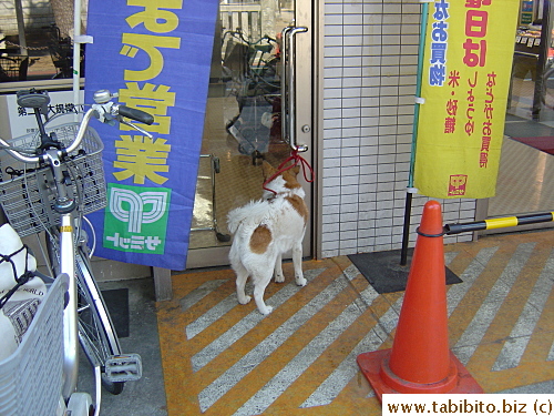 Where did my master go?