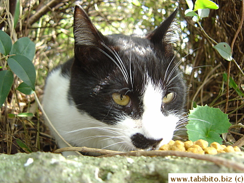 Snacking on treats