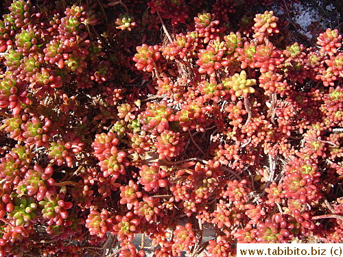 It should belong to the sea