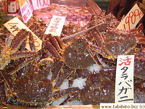 Giant crabs from Hokkaido