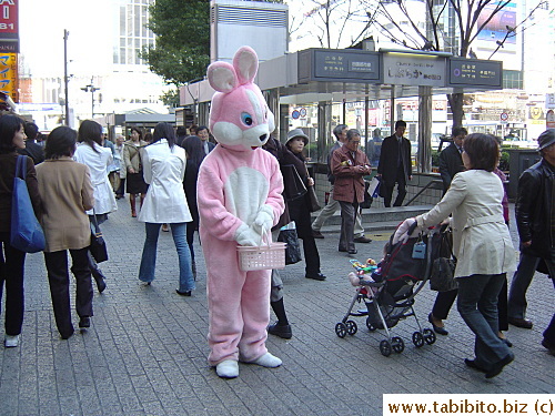 Rabbit giving away tissue