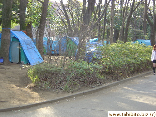 More tents