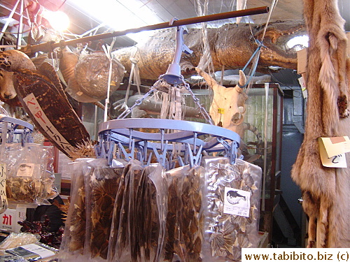 This shop sells animal skin, pelt and shell in Tsukiji