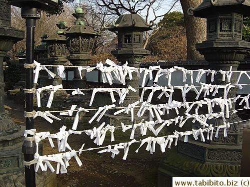 Fortune slips, Toshogu Shrine