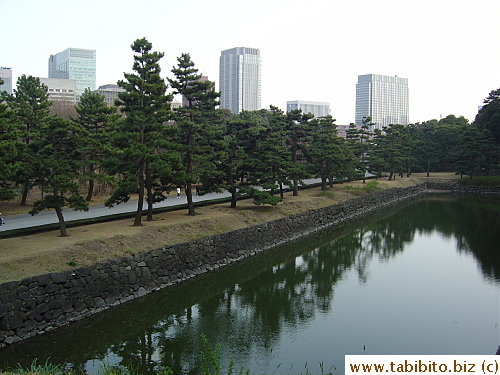 Pine trees and moat juxtaposing with modern buildings in the background