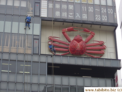 Rock climbing in Shinjuku