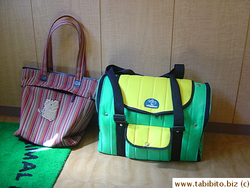 Daifoo inside his case waiting to go home as I waited for the bill