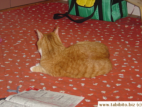 I'm not turning around till you point that thing away