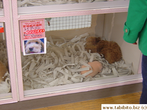 For US$3300 you can have a toy poodle.  I'll rather have a flat screen TV thanks