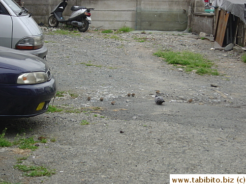 Forget it here, everybirdy, heard there is free chow nearby, let's go!
