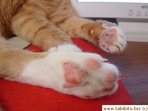 They don't stink. Not like the human's