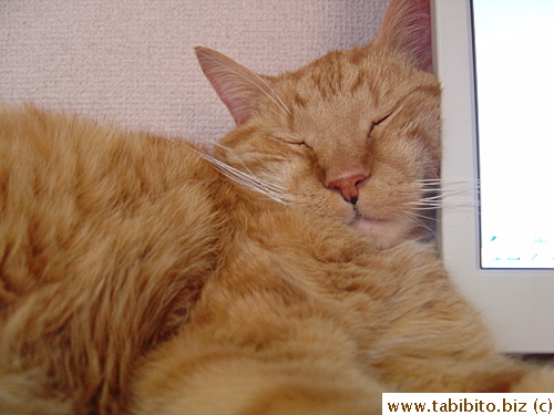 How do I look when I'm asleep? Cuter than you of course