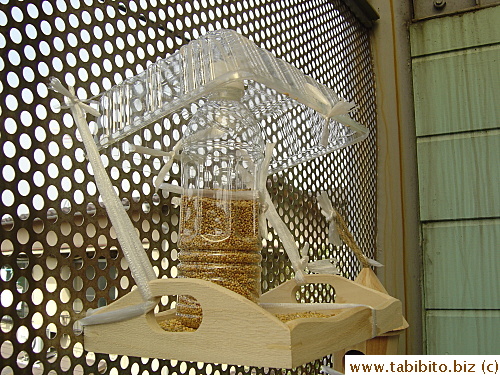 Close-up look of my bird feeder