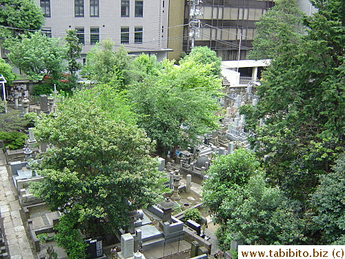 Cementary right next to office buildings 