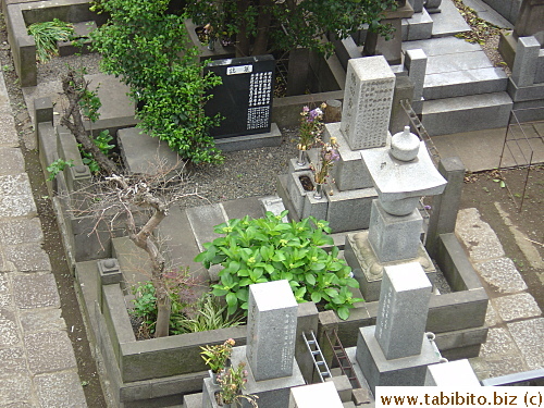 A pretty big burial plot for this tomb