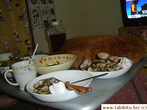 Daifoo sleeps on the coffee table in the tatami room while we ate. He's like another dish in our dinner