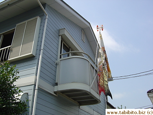 Carp streams are hung to celebrate Children Day
