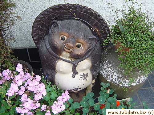 Racoon statue in front of this house