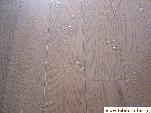 Evidence that shows Daifoo has just played with water in the bathroom