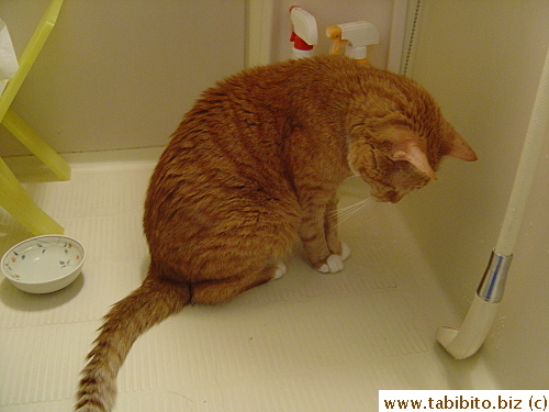 Studying the water flow intensely 