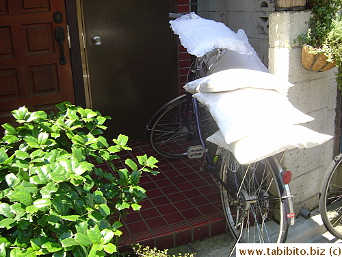 Sunning pillows on a bicysle