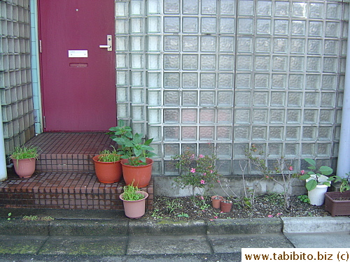 Glass bricks encase the balcony of our apartment