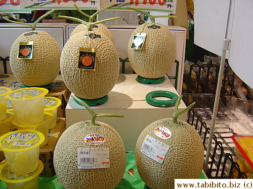 Pretty rock melon