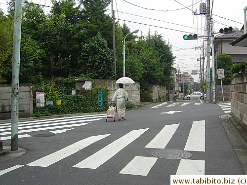 A kimono-clad woman and her parasol