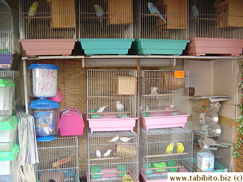 Confined birds
