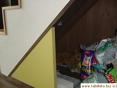 The coolest room in the apt in summer is the tiny cupboard under the stairs