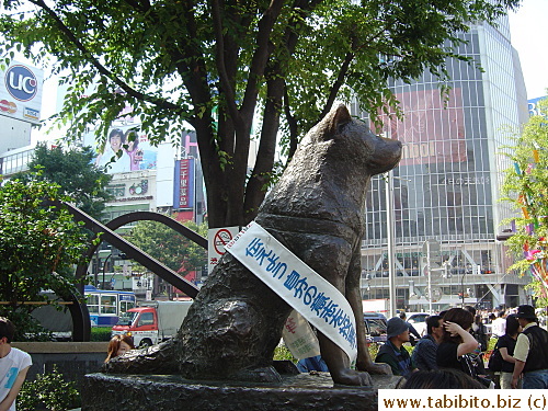 Hachiko statue outside JR Shibuya Station