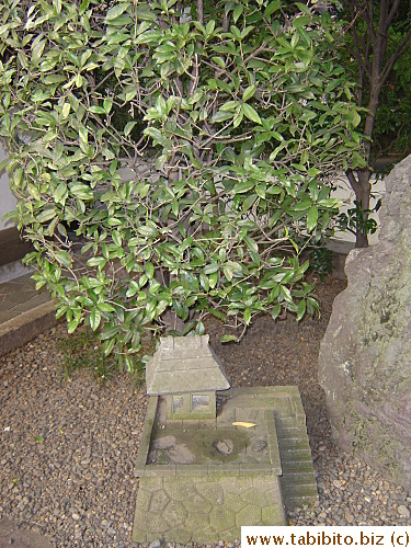 Miniature temple under a tree.  Neat
