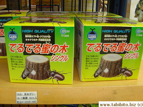 Blocks of wood embedded with nectar, snack to keep rhino beetles happy