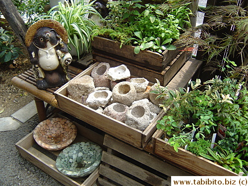 A tanuki watches over the merchandise for this gardening shop