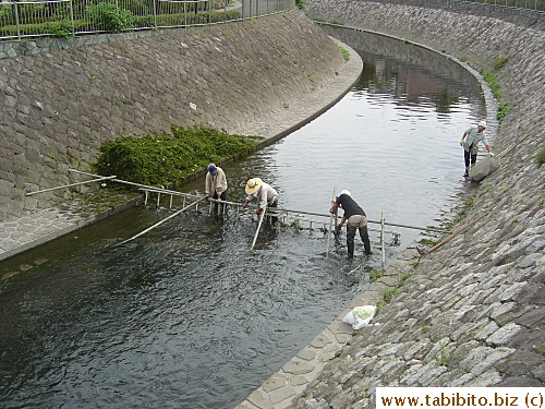 Workers clearing weeds on the stream