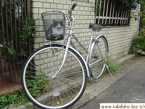 A stray cat finds a nice resting spot in a parked bicycle