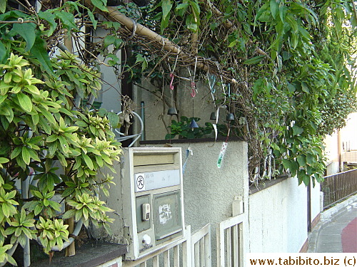 A row of windchimes decorates this entrance gate. The sound from the chimes is absolutely gorgeous.