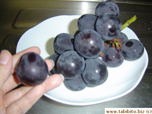 Giant Mountain Grapes