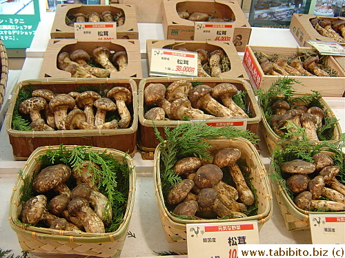 Matsutake mushrooms on sale. The 