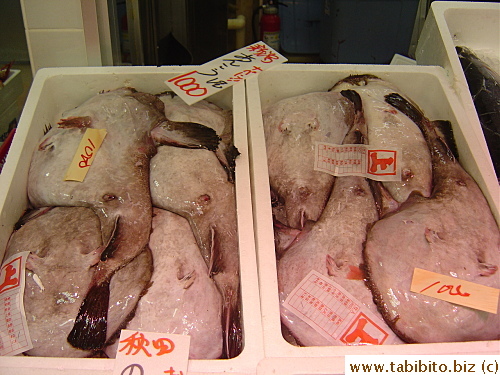 Monkfish with their bellies up