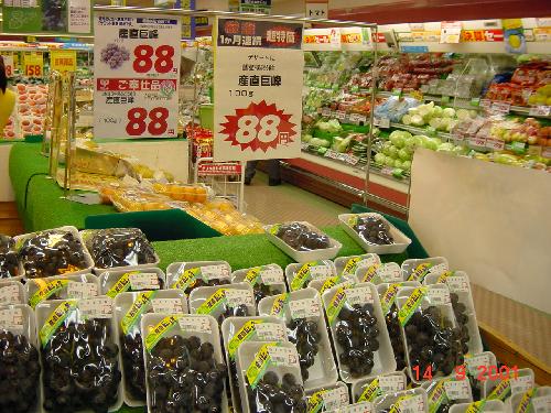 My brother took this picture. Giant Mountain grapes for sale in the supermarket