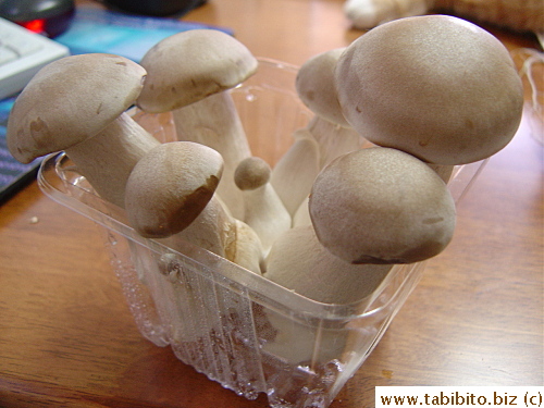 Big mushrooms