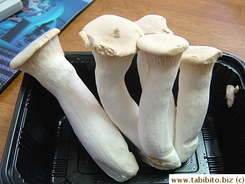 These mushrooms are very white