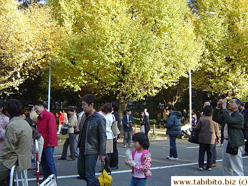 Most of the people in this picture stopped to take pictures of the trees