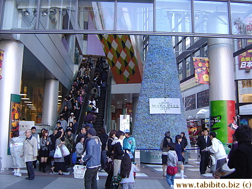 A very tall Christmas tree outside Mark City