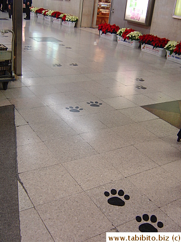 Paw prints on the floor of Hanzomon subway station