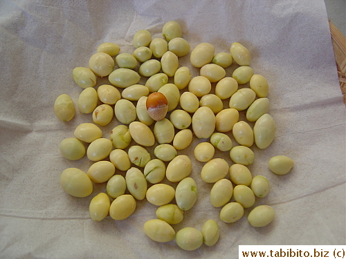 Shelled and peeled ginkgo nuts (unpeeled nuts have brown skin like the one in the center) don't smell at all and are ready to be used in cooking