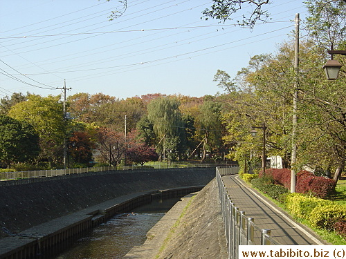 Fall brings a palette of colors to the trees and I can just sit by the stream and look at them